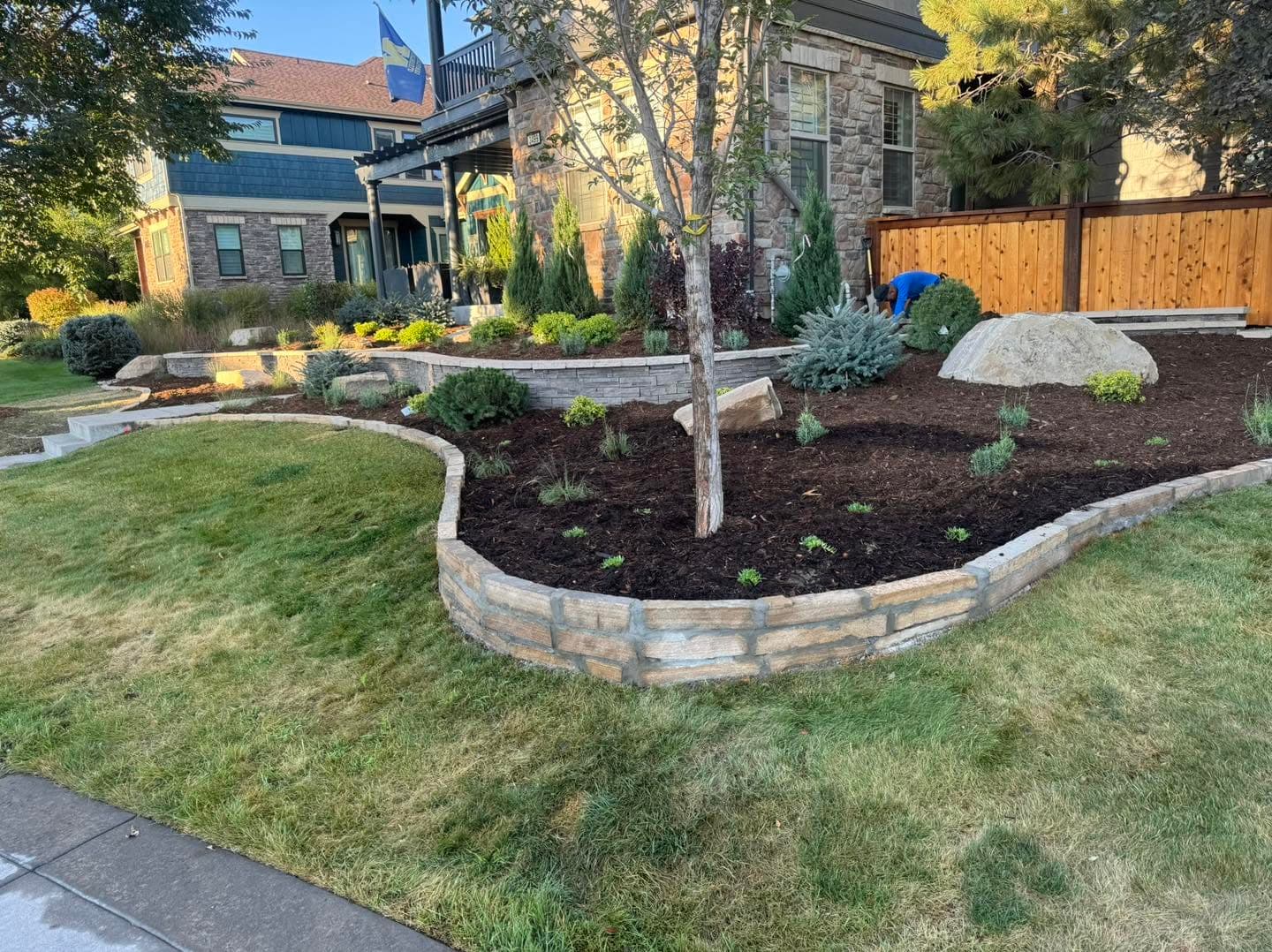 Curved mulch beds with ornamental shrubs and established lawn