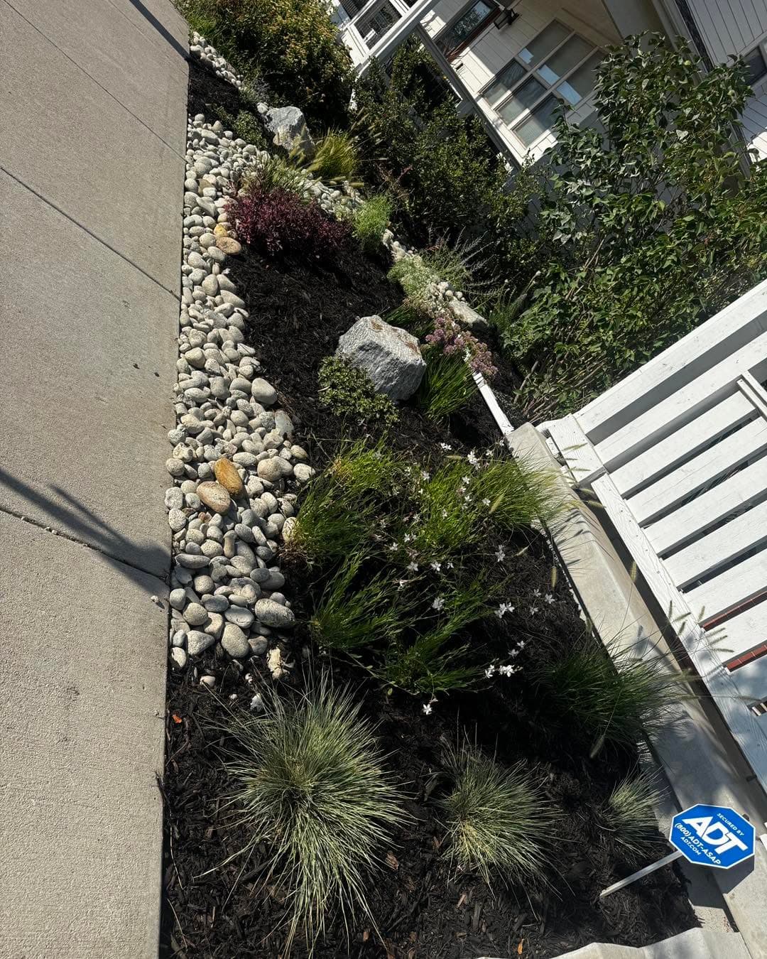 Landscape bed with white river rocks, ornamental grasses, and dark mulch