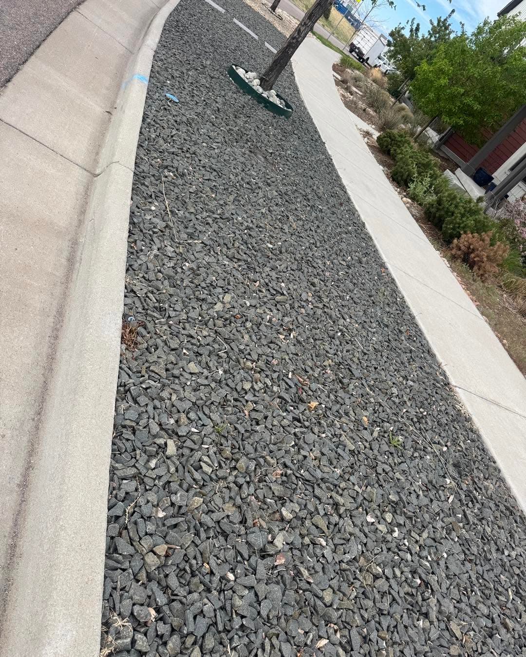 Gravel pathway with concrete edging and planted borders