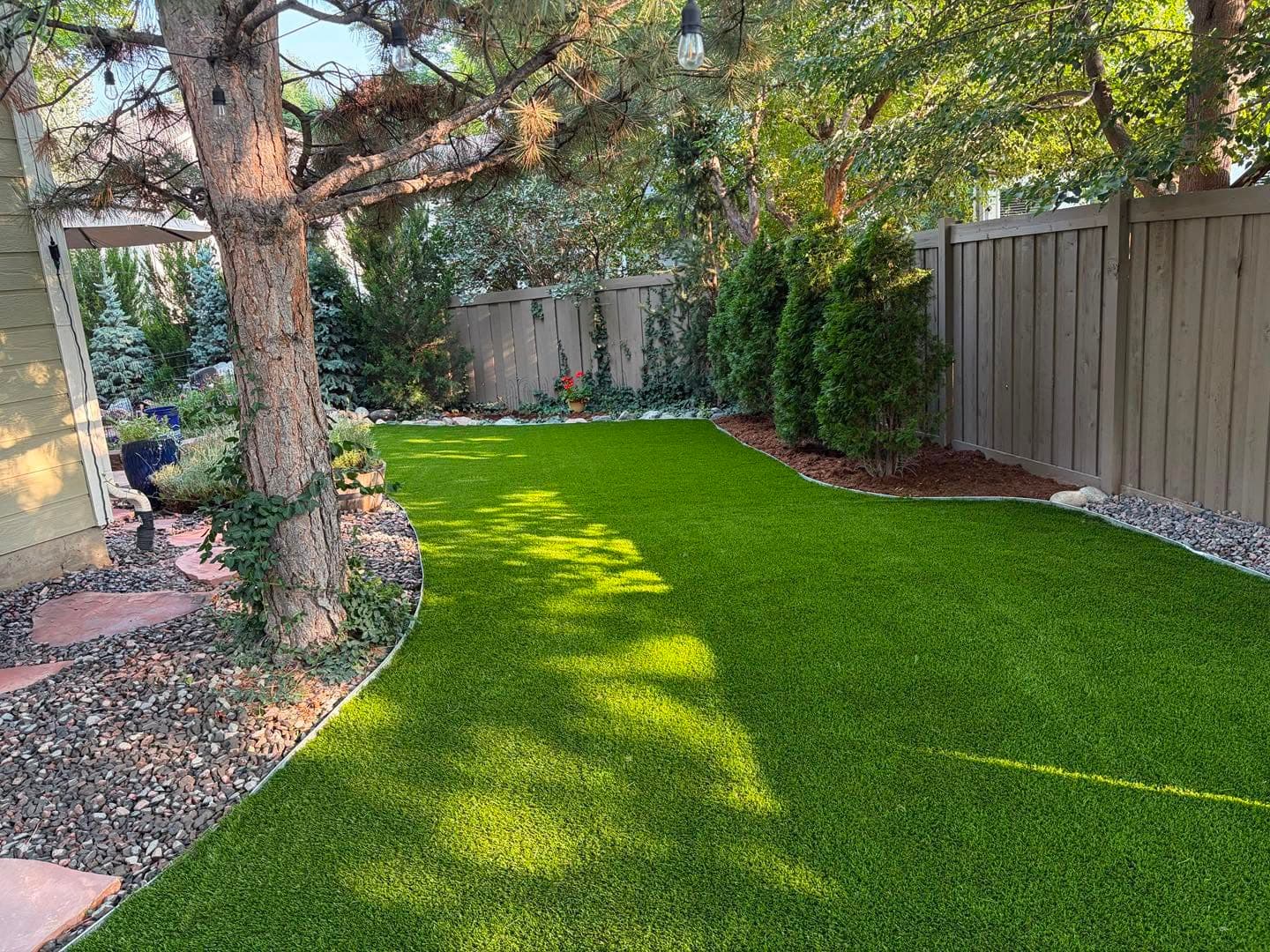 Landscaped backyard with mature tree and established lawn