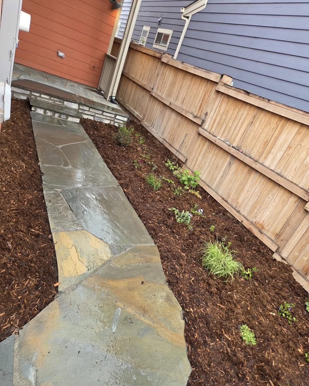 Slate stepping stone pathway through brown mulch beds with wooden fence